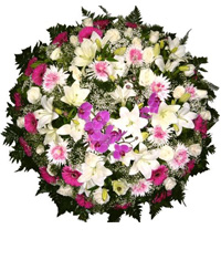 Coroa de Flores Elegance F | Coroas 24 Horas